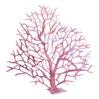 Watercolor illustration of delicate pink coral with branching structure. Inspired by marine nature and ocean reef life. Ideal for sea-themed designs, kids projects, or summer decorations. png