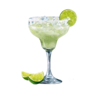 A margarita with lime slices and a slice of lime png