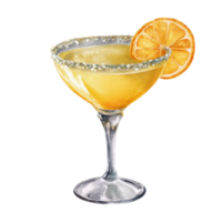 Orange margarita cocktail illustration png
