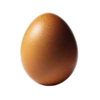 A Brown Egg with Smooth Shell png