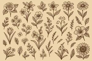 Elegant floral pattern illustration showcasing a variety of botanical drawings in a seamless design vector