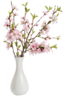 Elegant cherry blossom floral arrangement in a minimalist white vase on transparent background, spring decor png
