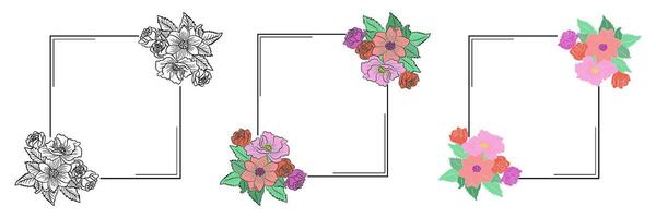 Set of square frame with flower on transparent background vector