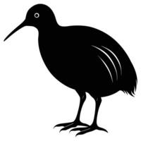 Black kiwi bird silhouette standing pose white background vector