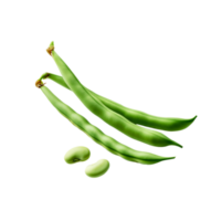 Green beans vegetable with seed on transparent background png