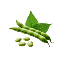 Green beans vegetable with leaf on transparent background png