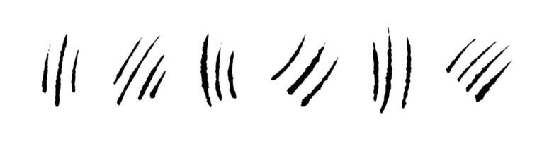 Tiger scratch marks with wild animal texture. Flat illustration isolated on white background. vector