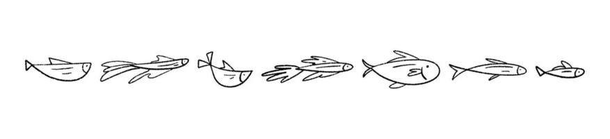 Hand-drawn fish pattern with marine life doodles. Oceanic tuna and salmon in sketch style. Flat illustration isolated on white background. vector