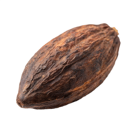 Cocoa nib, isolated on transparent background png