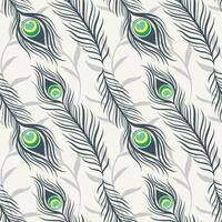 seamless pattern of peacock feathers. Background with feathers vector