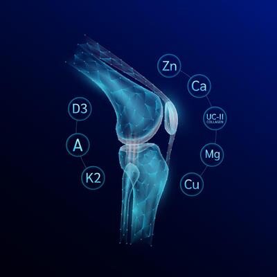 Leg bone translucent polygon style surrounded by vitamins and minerals calcium zinc magnesium protect and restore knee joint cartilage. On blue background.