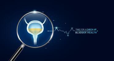Bladder inside magnifying glass with scan search. Health care medical check up too innovative futuristic digital technology. Body health checkup examining organ and blue glowing neon heart pulse. vector