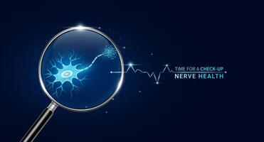Nerve inside magnifying glass with scan search. Health care medical check up too innovative futuristic digital technology. Body health checkup examining organ and blue glowing neon heart pulse. vector