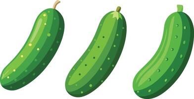 Three green cucumbers are shown on a white background vector