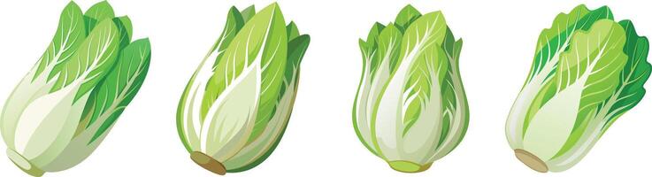 A set of three green leaves of cabbage vector