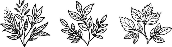 Three different types of plants are shown in black and white vector
