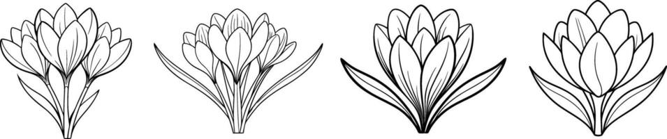Four different types of flowers are shown in this drawing vector