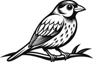 Bird on branch illustration vector
