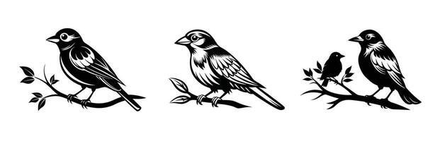 Silhouette of a bird perched on a branch, black and white, clean design on white background. vector