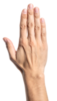 realistic front view of raised human hand with open fingers in stop or greeting gesture, male hand communication symbol with natural skin texture on isolated background png