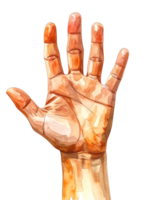 watercolor open hand gesture, stop or swipe motion, palm facing front, isolated on transparent background png