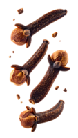 realistic dried cloves in slow falling motion with floating particles on isolated background for spice and herbal ingredient design png