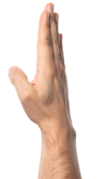 realistic human hand in vertical side view with fingers pressed together in silencing or stop gesture, isolated male hand symbol for quiet or attention on isolated background png