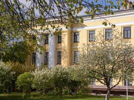 yellow administrative building on a sunny day among flowering trees, selective focus photo
