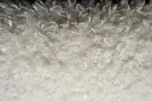 white curly sheep wool blanket, textured background photo
