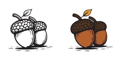 Two acorns with leaves and leaves on them vector
