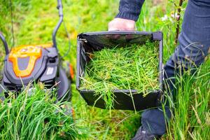 Mowing grass with a petrol lawn mower in spring. The man detached the container with the mown grass to in the compost photo