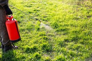 spraying the grass in a garden plot with a garden sprayer against weeds with a herbicide solution. Weed control photo