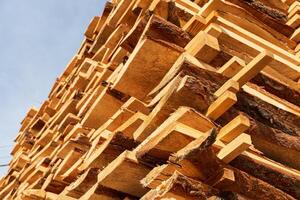 Wooden planks are arranged in a neat stack under a clear blue sky, showcasing the texture of the wood and bark photo
