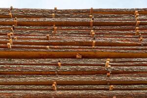 Wooden logs are organized in neat rows, showcasing their natural bark, in a lumber yard on a cloudy afternoon photo