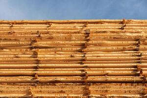 Stacks of wooden logs arranged orderly under a clear blue sky highlight the process of lumber storage and preparation for use photo
