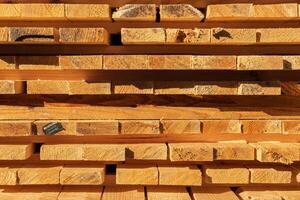 Rows of wooden boards with different textures and colors arranged neatly in a workshop under bright daylight photo