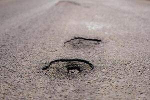 Deep paw prints are visible in a weathered asphalt surface, indicating animal activity in a sunny outdoor setting, likely after recent rain photo