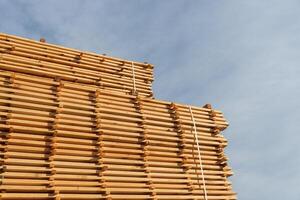 Bright sunlight illuminates a stack of freshly cut wooden planks at a lumber yard, showcasing their smooth texture and warm color photo