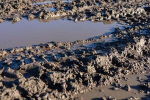Damp ground shows uneven, muddy patches with visible puddles reflecting sunlight following recent rains in a rural landscape photo