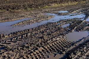 Tire tracks in wet mud create patterns on the field, reflecting recent rain and vehicle activity in the rural landscape photo