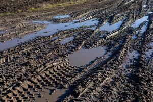Tire tracks run through a muddy road marked by puddles, reflective of recent rain observed in a rural landscape photo