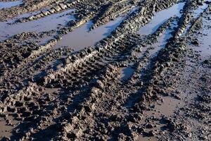 Tire tracks create patterns in wet soil, reflecting recent rainfall in an outdoor landscape. The ground has a muddy texture and pools of water photo