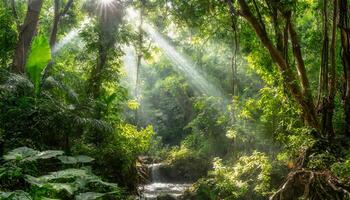 Sunlight streams through the lush green canopy of a dense forest or jungle, illuminating a small stream and creating a tranquil and ethereal atmosphere in a vibrant natural landscape. photo