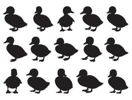 Duckling silhouette white background vector
