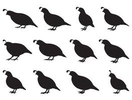 QUAIL SILHOUETTE WHITE BACKGROUND vector