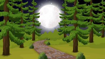 Animated Night in the Forest Scene with Moon and Stars video