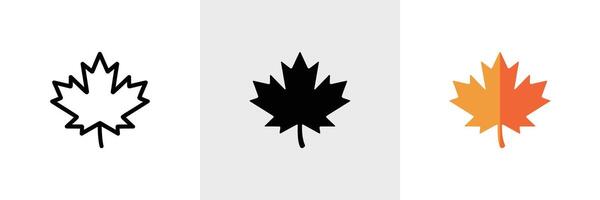 Maple Leaf Icon Collection Line, Silhouette, and Color Variations on White Background vector