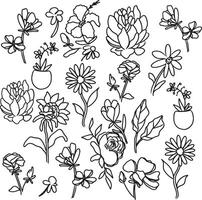 Hand-drawn Black and White Flower Line Art Collection vector