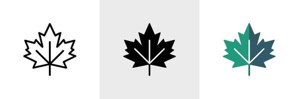Maple Leaf Icons Set Outline, Silhouette, and Gradient Versions on Isolated Background vector