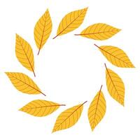 Round frame with autumn leaves. Yellow leaves arranged in a circular pattern celebrating the autumn season and natures beauty. vector